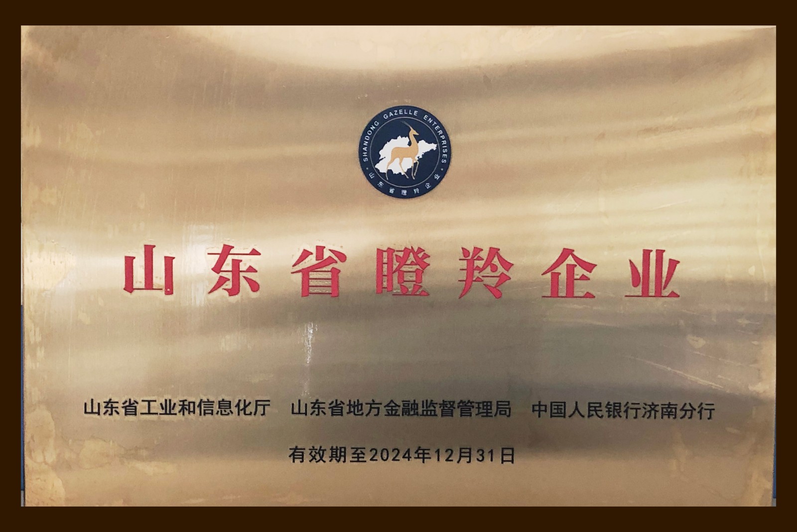 喜訊│熱烈祝賀山東浩順被認定為省“瞪羚”企業(yè)